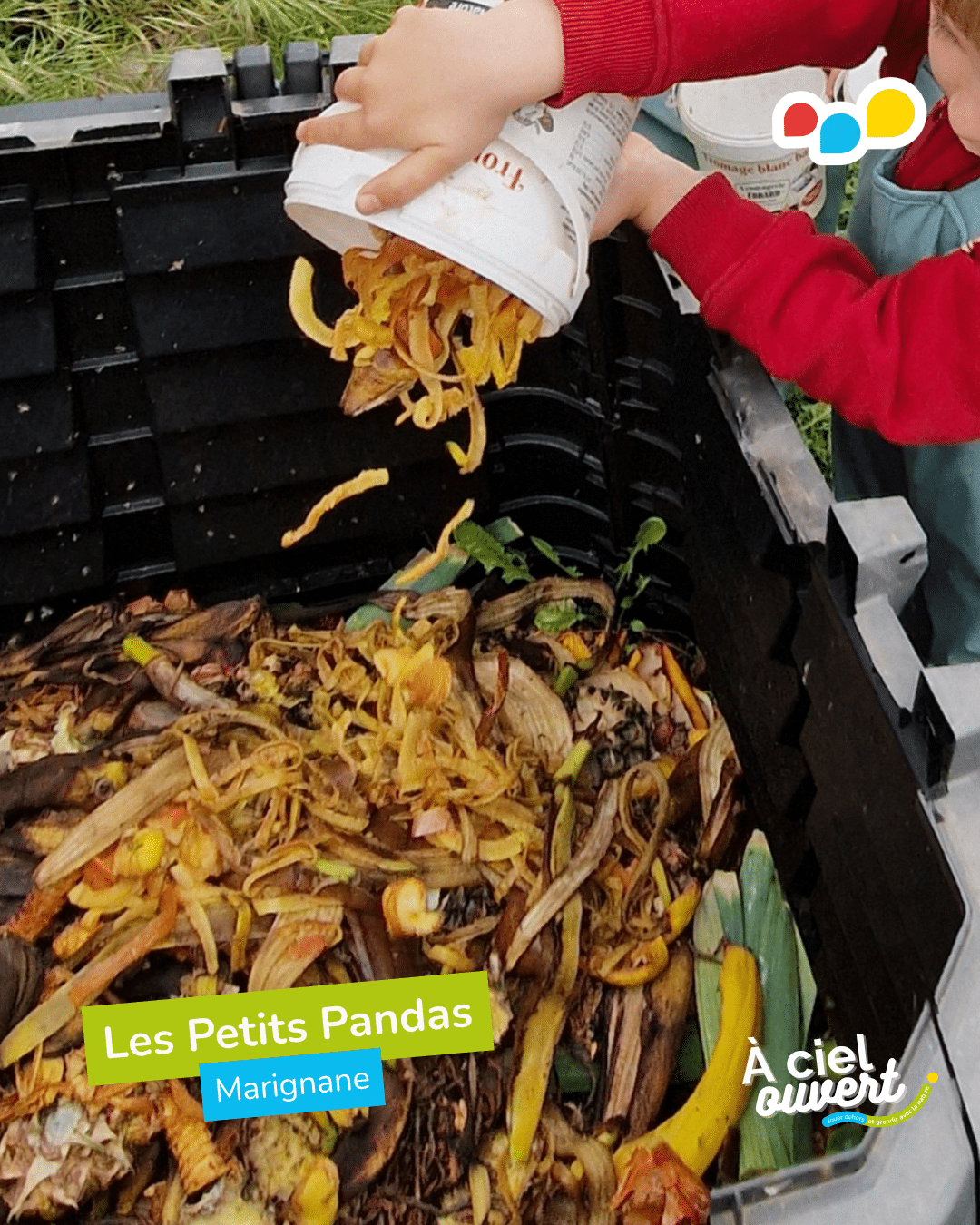 Les Petits Pandas